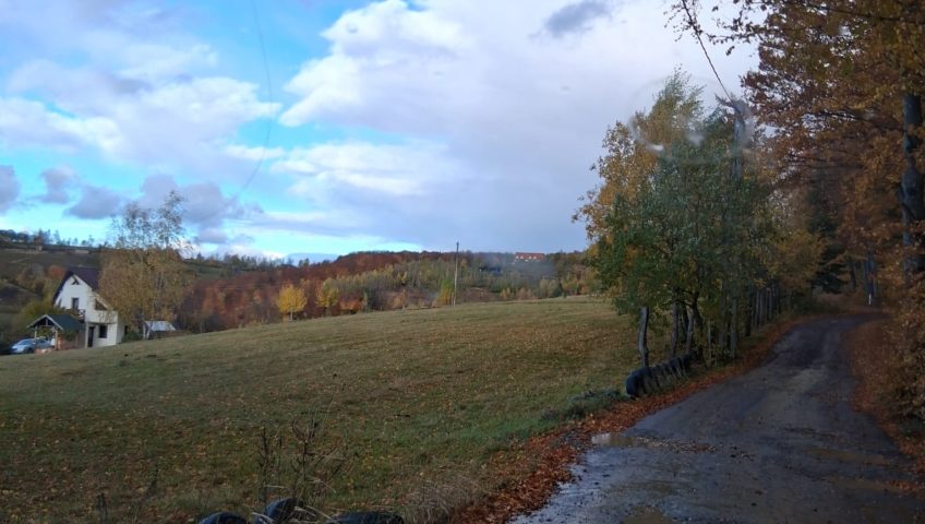 WhatsApp Image 2025-10-25 at 20.14.33