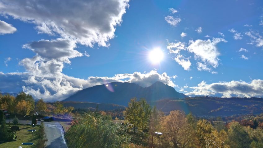 WhatsApp Image 2025-10-25 at 20.14.34