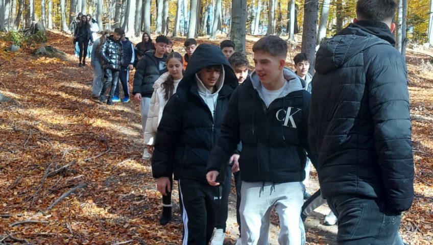 WhatsApp Image 2025-10-27 at 11.00.07